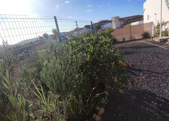 La Gata De Feriehus *